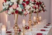 Event Planner in Nairobi