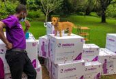 Moving and Storage Service in Nairobi