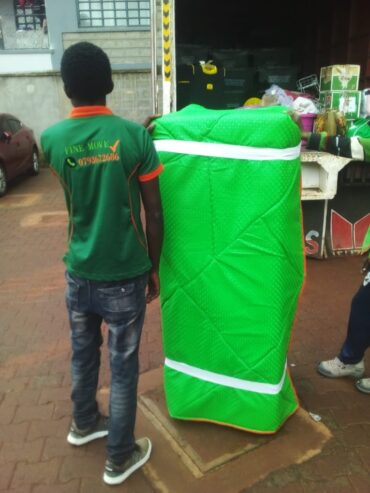 Professional Moving Services in Nairobi