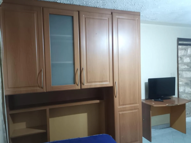 Rent Furnished Studio Apartment in Lavington