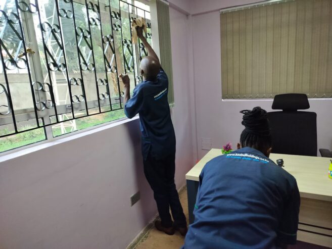 Professional Cleaning Services in Nairobi