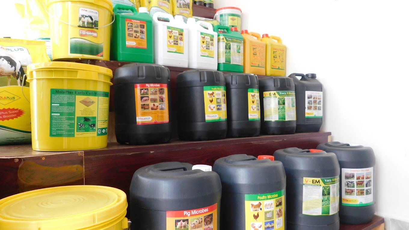 Animal feed store in Nakuru