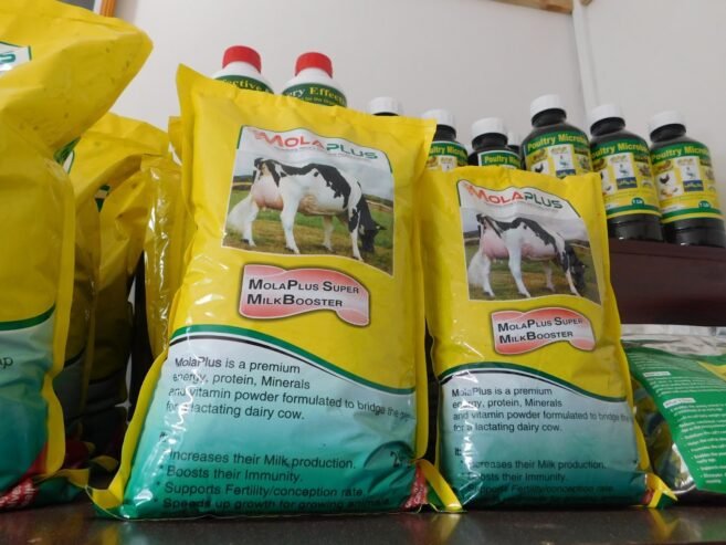 Animal feed store in Nakuru