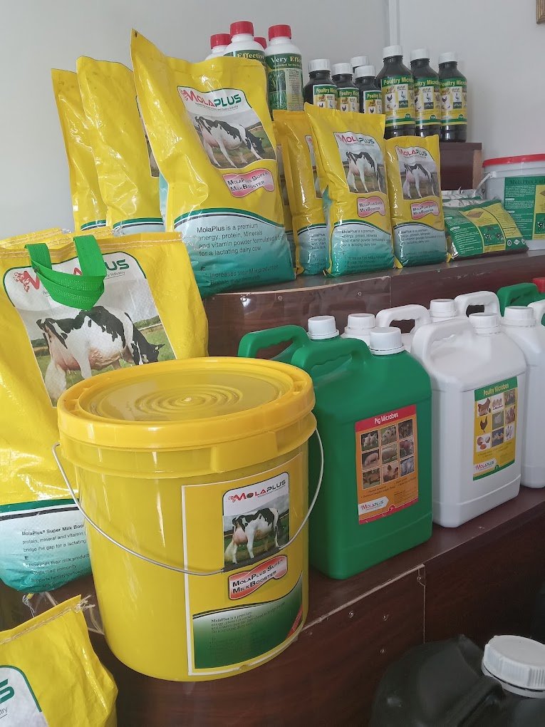 Animal feed store in Nairobi and Kiambu