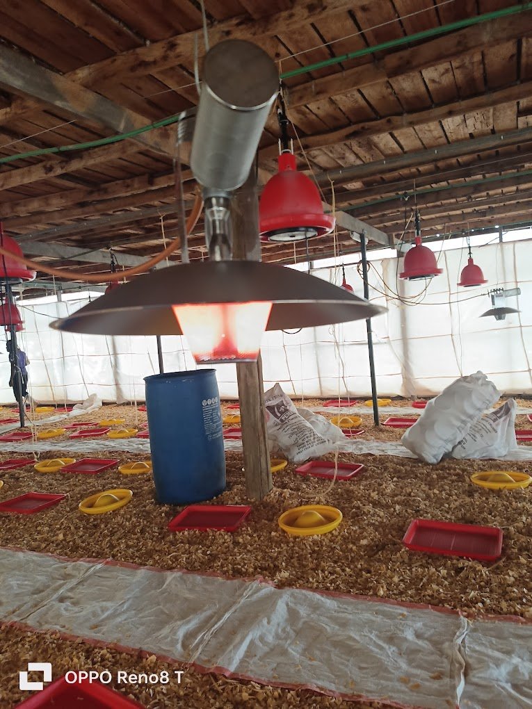 Agriculture Supplies in Nairobi CBD – agriculture supplies in nairobi kenya