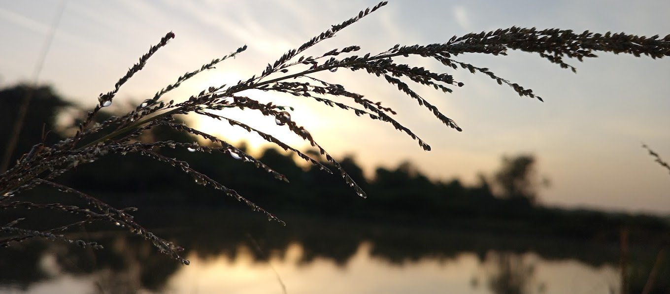 Video production service in Nairobi