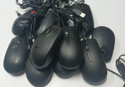 Ex-Uk-mouse